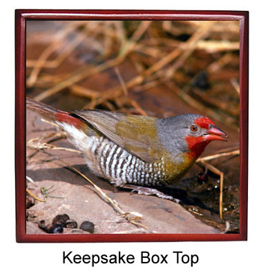 Finch Keepsake Box