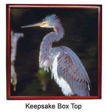 Louisiana Heron Keepsake Box