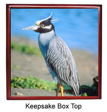 Yellow Crowned Heron Keepsake Box