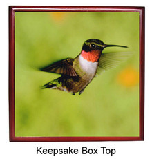 Hummingbird Keepsake Box