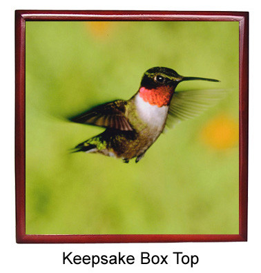 Hummingbird Keepsake Box