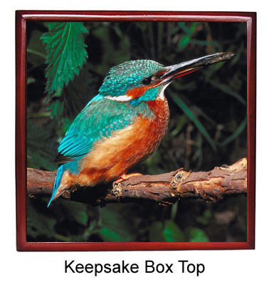 Kingfisher Keepsake Box