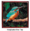 Kingfisher Keepsake Box