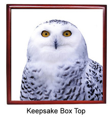 White Owl Keepsake Box