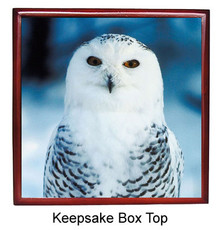 White Owl Keepsake Box