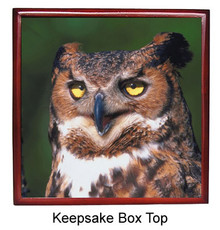 Great Horned Owl Keepsake Box
