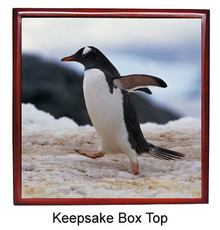 Penguin Keepsake Box