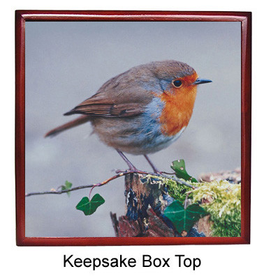 Robin Keepsake Box