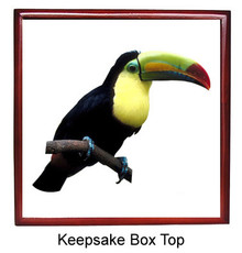 Toucan Keepsake Box