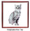 American Shorthair Cat Keepsake Box