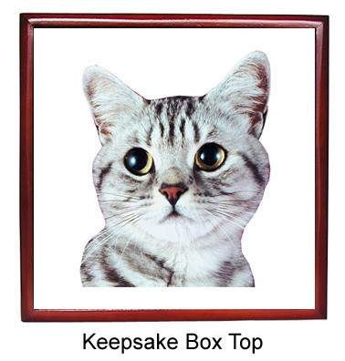 American Shorthair Cat Keepsake Box