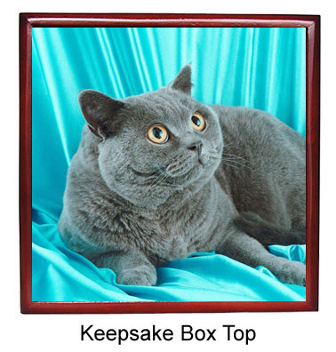 British Shorthair Cat Keepsake Box