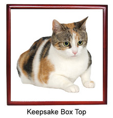 Calico Cat Keepsake Box