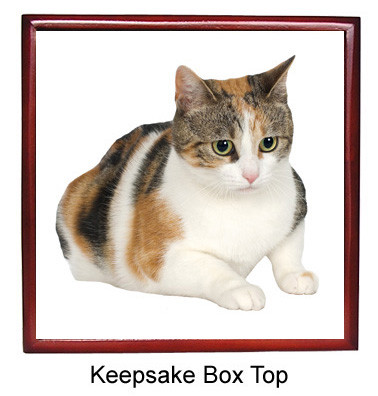 Calico Cat Keepsake Box