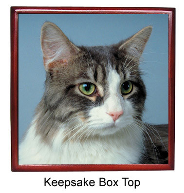 Cat Keepsake Box