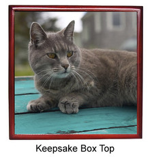 Cat Keepsake Box