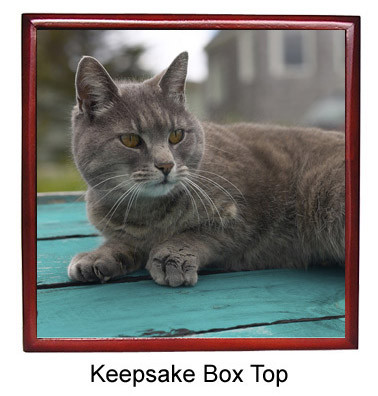 Cat Keepsake Box