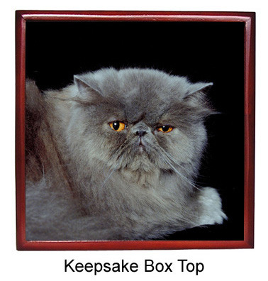 Persian Cat Keepsake Box