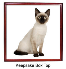 Siamese Cat Keepsake Box