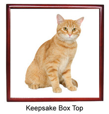 Tabby Cat Keepsake Box