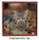 Tabby Cat Keepsake Box