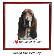 Basset Hound Keepsake Box