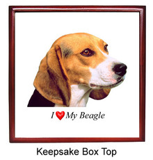 Beagle Keepsake Box