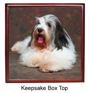 Bearded Collie Keepsake Box