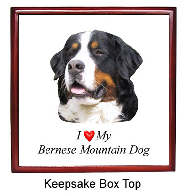 Bernese Mountain Dog Keepsake Box