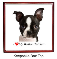Boston Terrier Keepsake Box