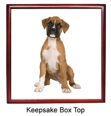 Boxer Keepsake Box