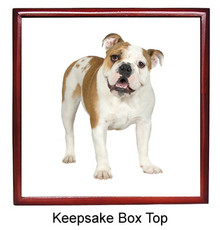 Bulldog Keepsake Box