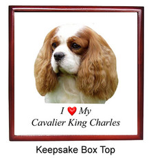 Cavalier King Charles Keepsake Box