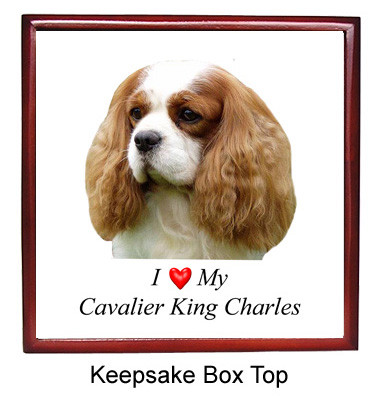 Cavalier King Charles Keepsake Box