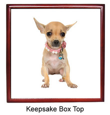 Chihuahua Keepsake Box