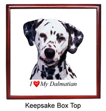 Dalmatian Keepsake Box