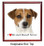 Jack Russell Terrier Keepsake Box