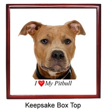 Pitbull Keepsake Box