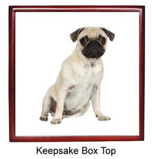 Pug Keepsake Box