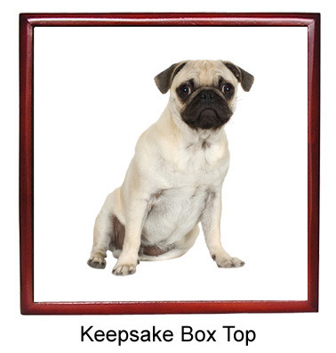 Pug Keepsake Box