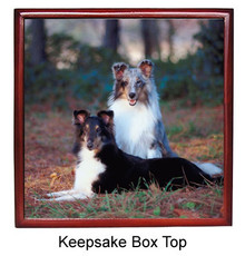 Shetland Sheepdog Keepsake Box
