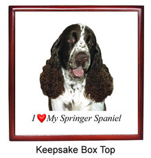 Springer Spaniel Keepsake Box