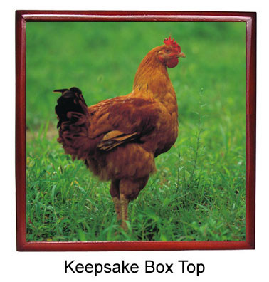 Chicken Keepsake Box