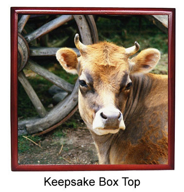 Cow Keepsake Box