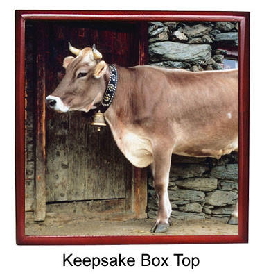 Cow Keepsake Box