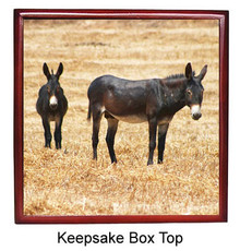 Donkey Keepsake Box