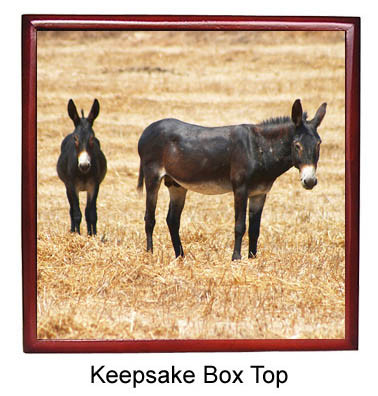 Donkey Keepsake Box