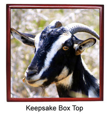 Goat Keepsake Box