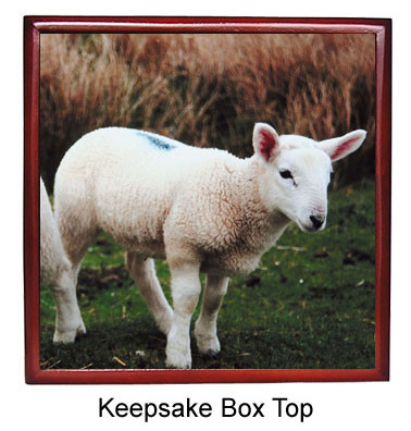 Lamb Keepsake Box