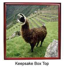 Llama Keepsake Box